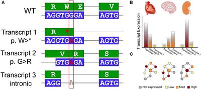 The Importance of Biologic Knowledge and Gene Expression Context for Genomic Data Interpretation